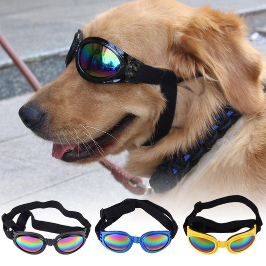 Doggie Sunglasses/ Goggles