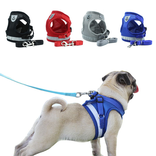 Reflective Mesh Harness with Leash