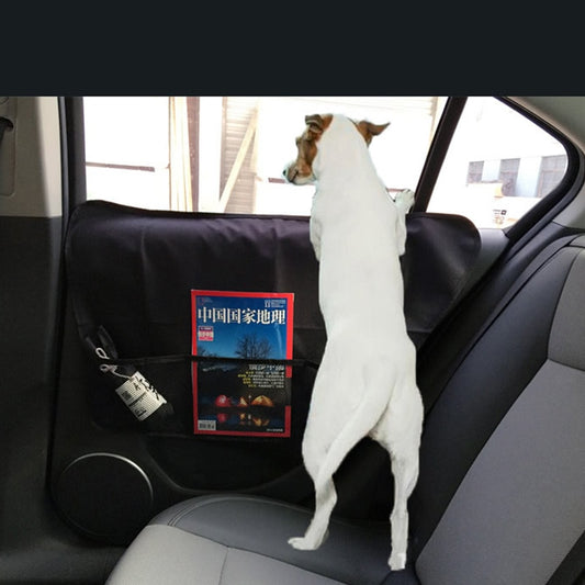Car Door Protection