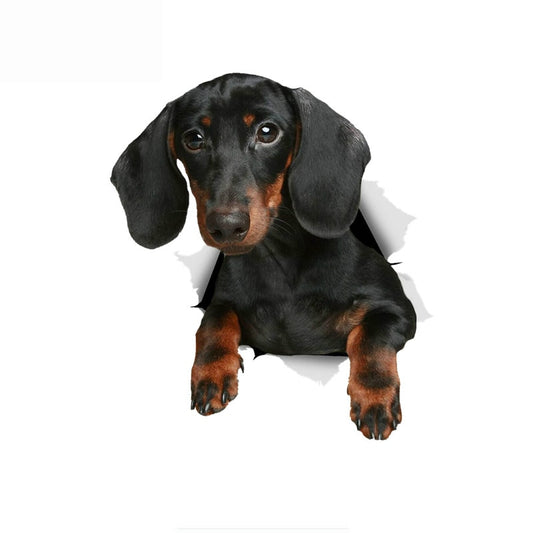 3D Black Dachshund Dog Decal
