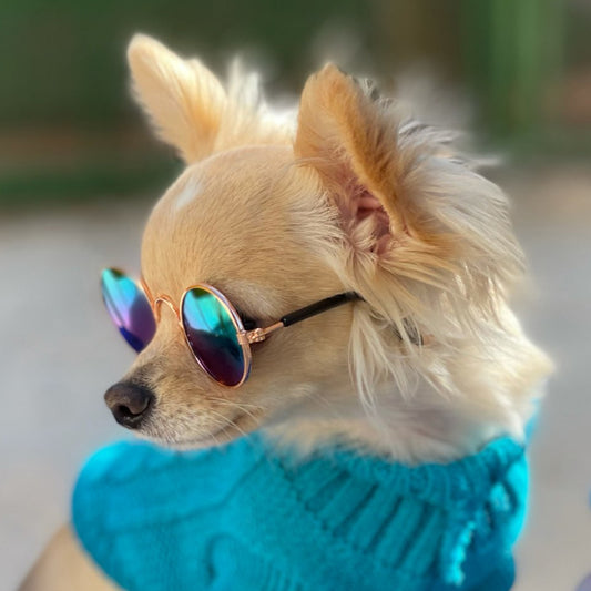 Cool SunGlasses